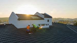 Best Chimney Flashing Repair  in Hector, MN